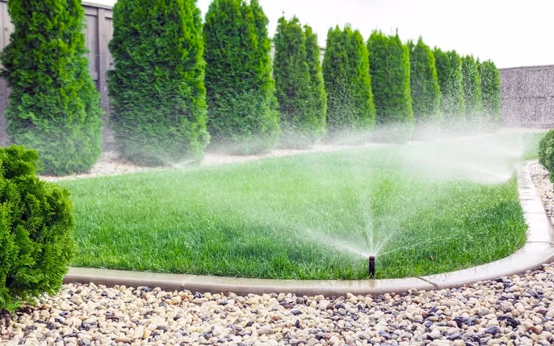 How Professional Irrigation Boosts Your Lawn's Health